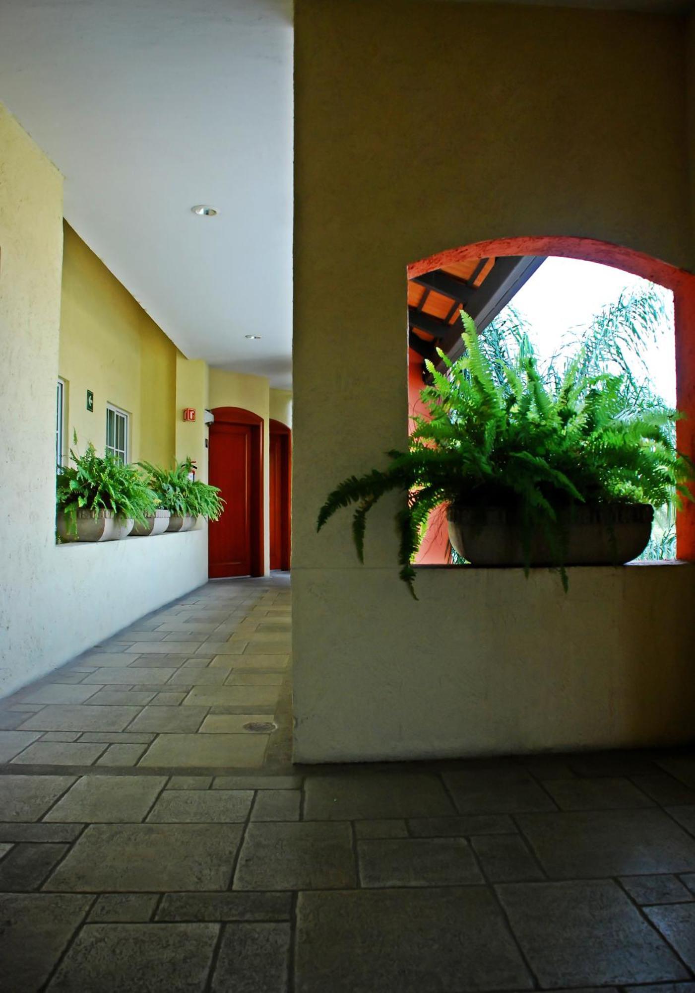 ספופן Aurea Hotel And Suites מראה חיצוני תמונה